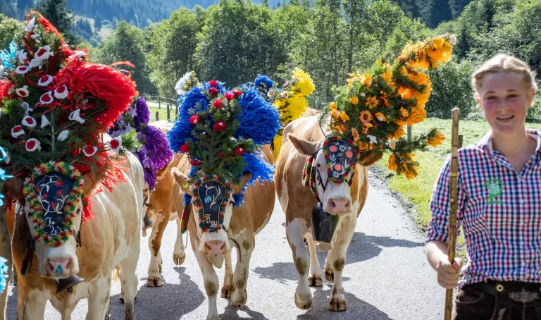 Tradicionalno se vraćaju sa lapsih pašnjaka, foto: Wildschönau Tourismus
