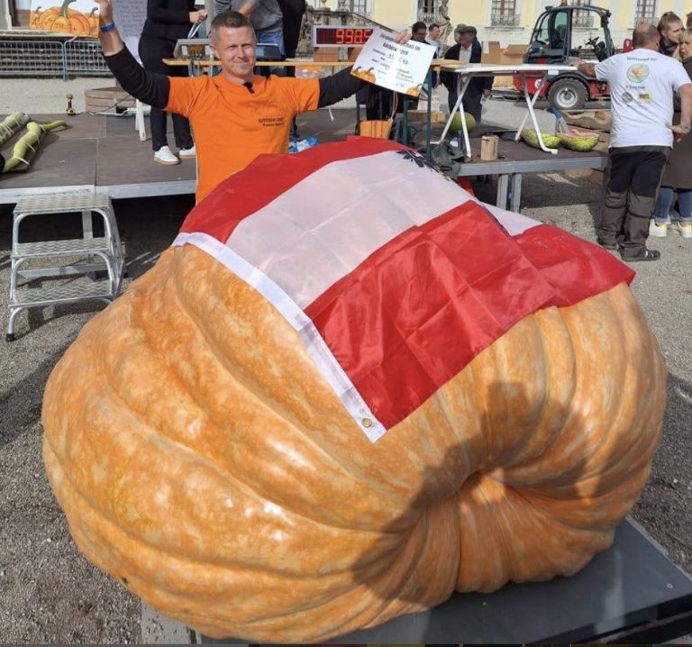 Najveća bundeva u Evropi, Foto: Instagram/Lacina Martin