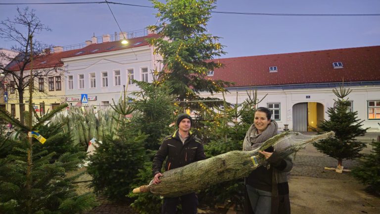 Božićna jelka „ne plaća“ kartu u javnom prevozu, i do 10 000 eura kazna ako se ne prevozi pravilno Pocela prodaja jelki, Foto:(c) MA 59