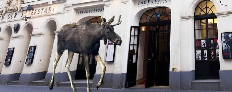 „Los Emil“ reč godine u Austriji: životinja koja je osvojila naciju Los Emil u šetnji centrom Beča